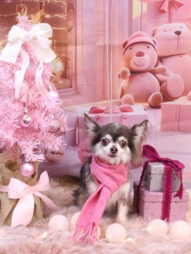 20241229空太くん